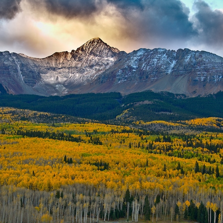 Telluride property management