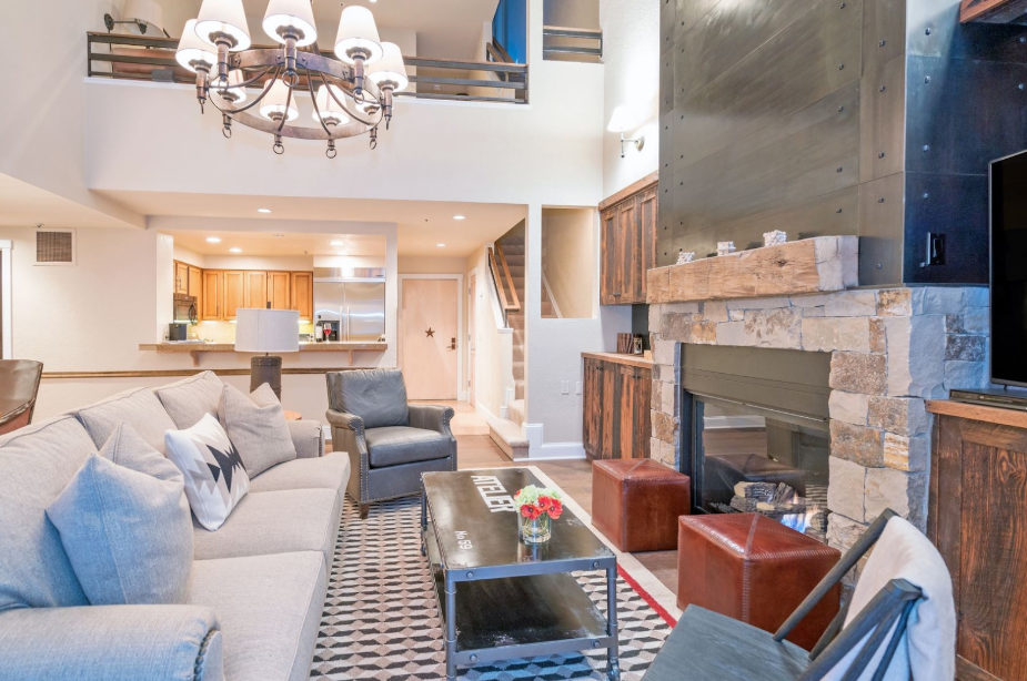 Dog in cozy vacation rental in Telluride