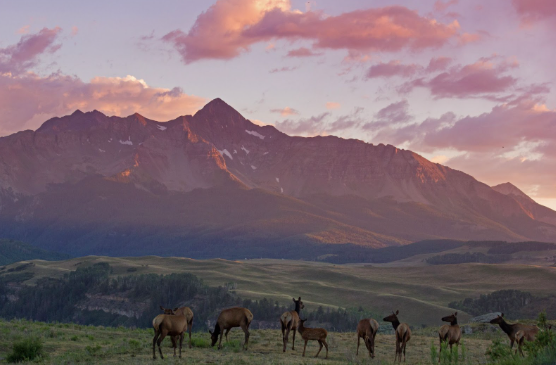 Curate Telluride vacation rental collage