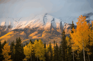 The Splendor of Telluride in Late Summer