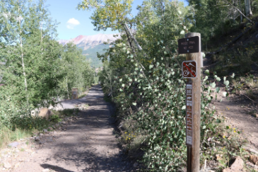 Ridge Trail in Mountain Village through aspens