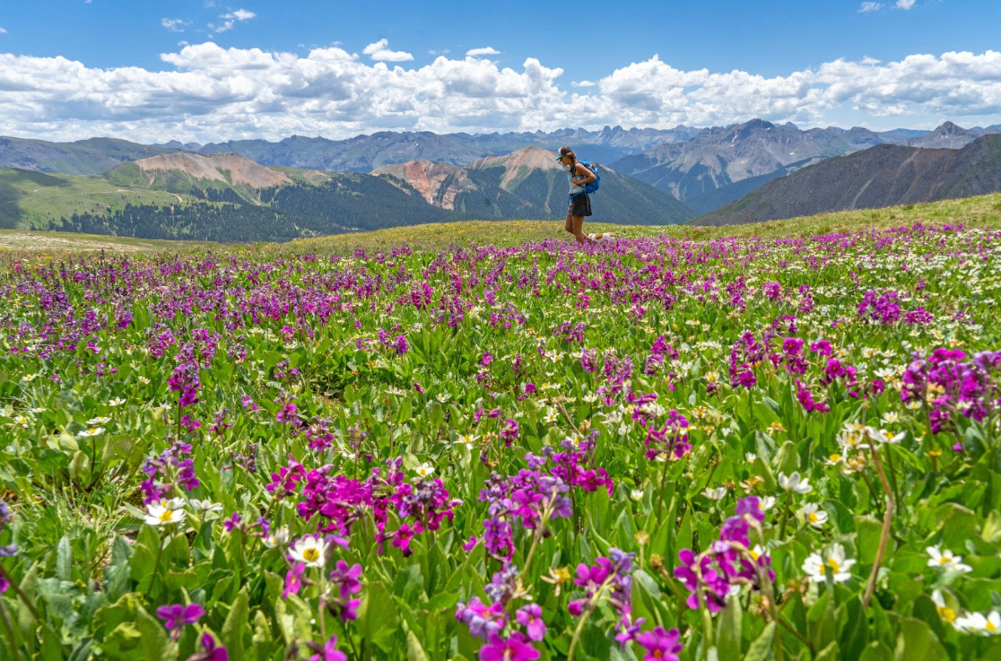 Telluride hikes you can reach without a car