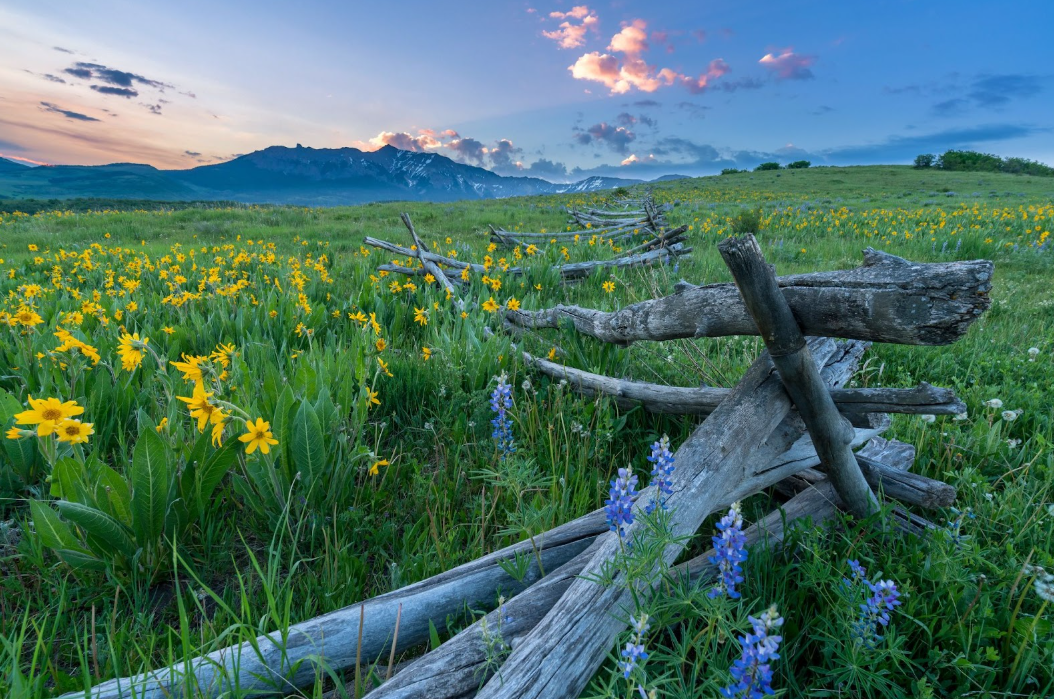 Bear Creek Trail in Telluride